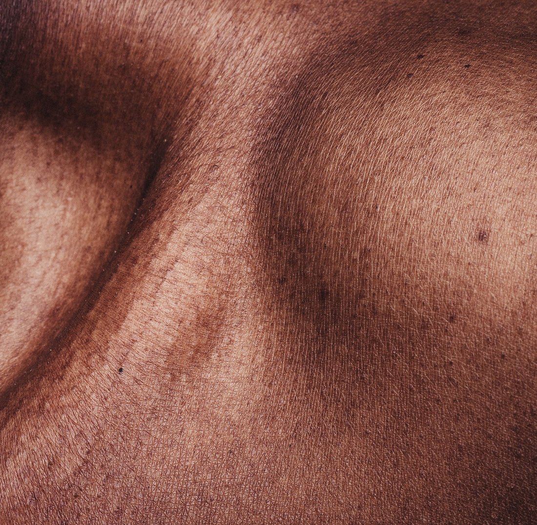 Close up of a collar bone with the hollow on the left, and curve of the shoulder on the right. Glowing black skin.