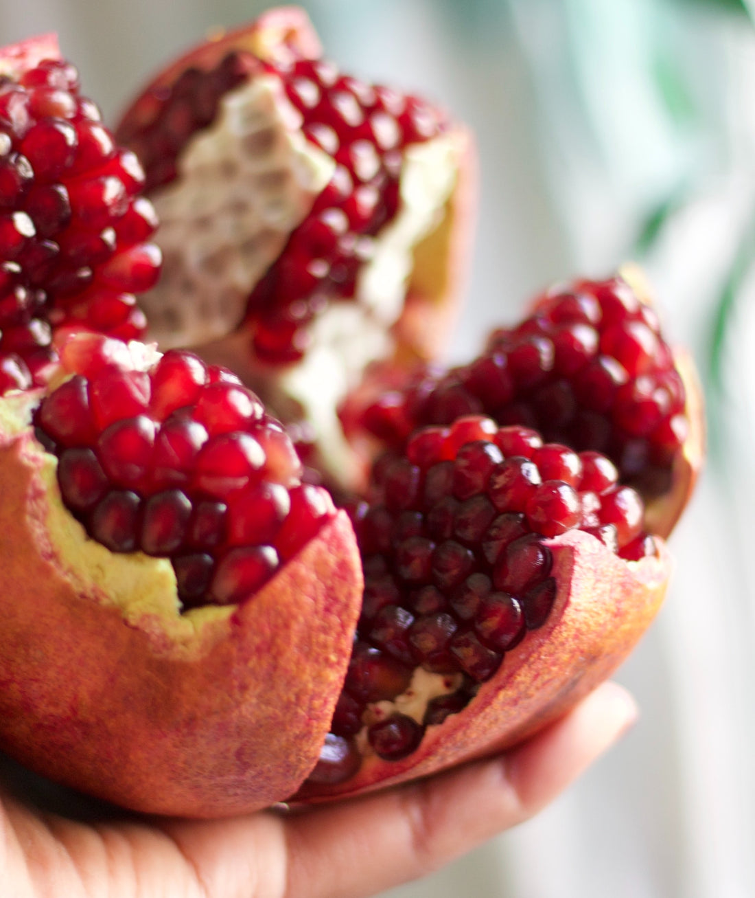 A pomegranate skin split open in chunks, being held by a white hand against a light background